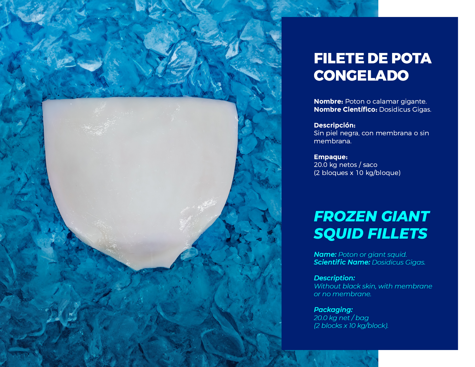 brochure 1